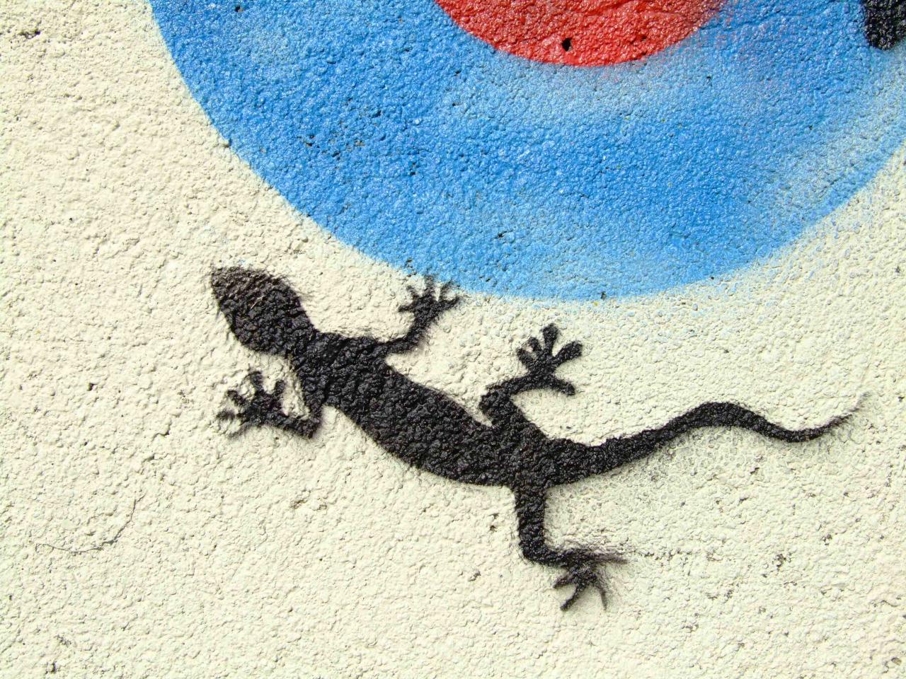 Gecko - Etampes 2004