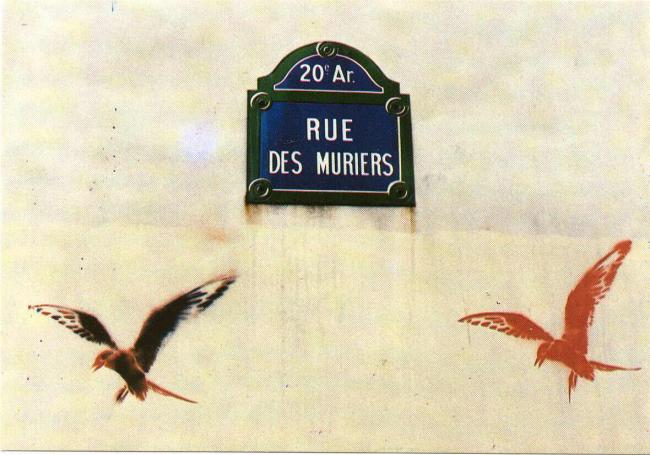 Rue des Muriers