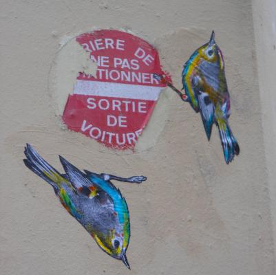 Maintenant, les oiseaux